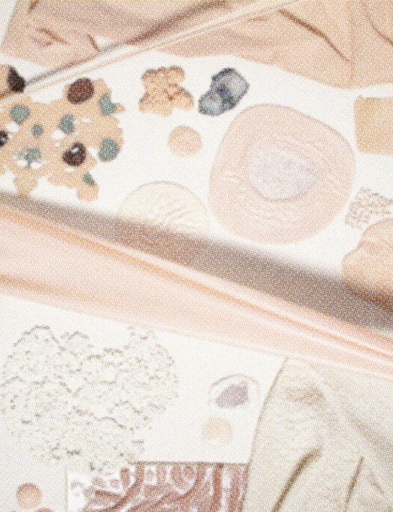 Franklin Till Studio